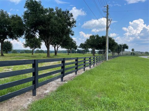 COUNTY ROAD 450A UMATILLA FL 32784