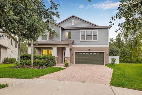 10707 PEGASUS VALLEY COURT TAMPA FL 33647