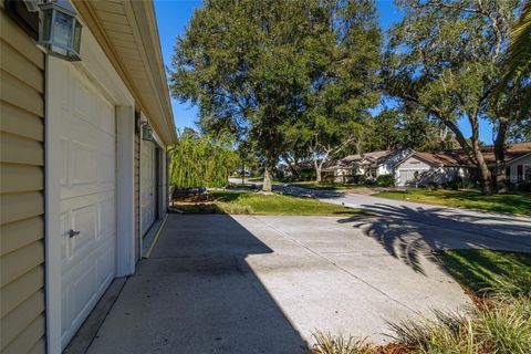 A home in THE VILLAGES