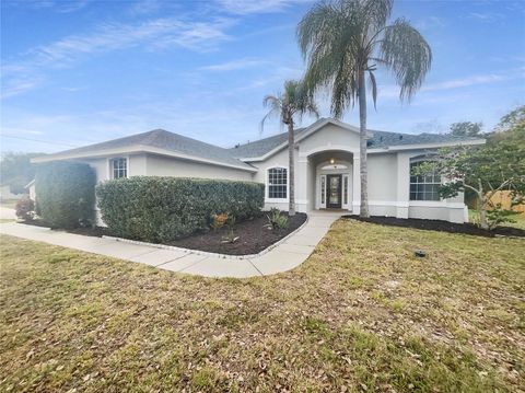 A home in DELTONA