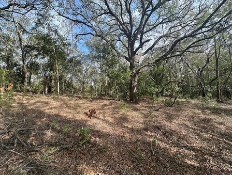 NW COUNTY ROAD 236 BELL FL 32619