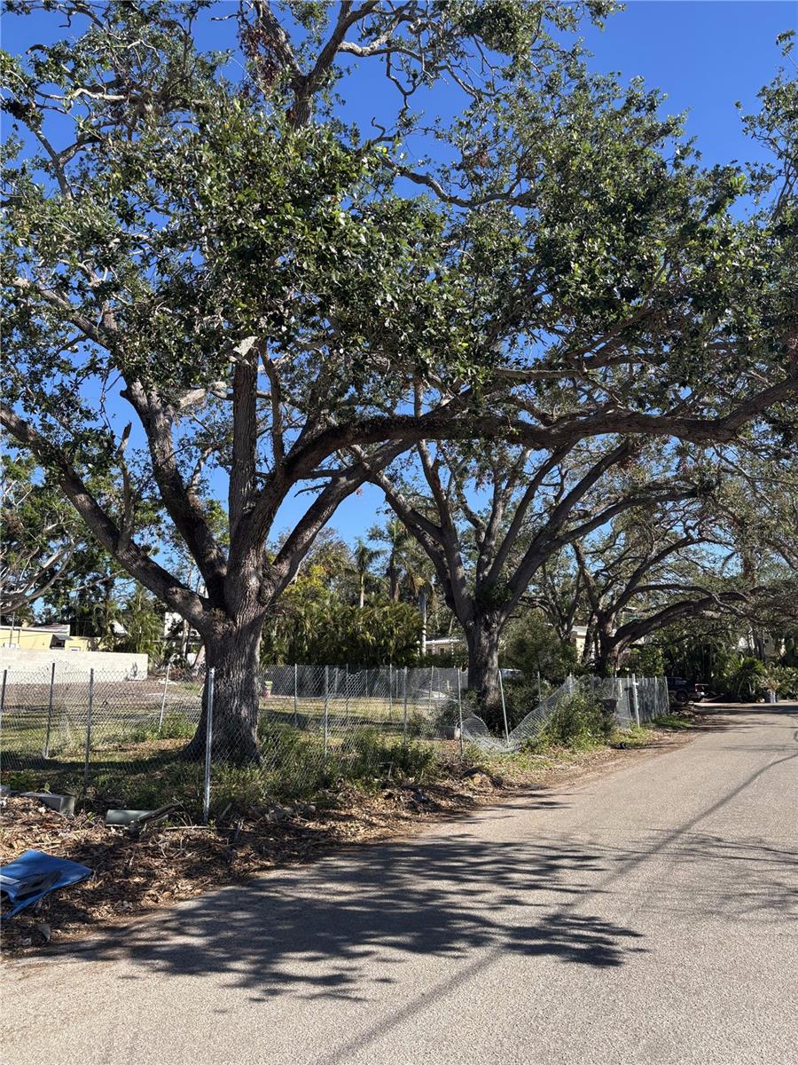 This is a vacant lot