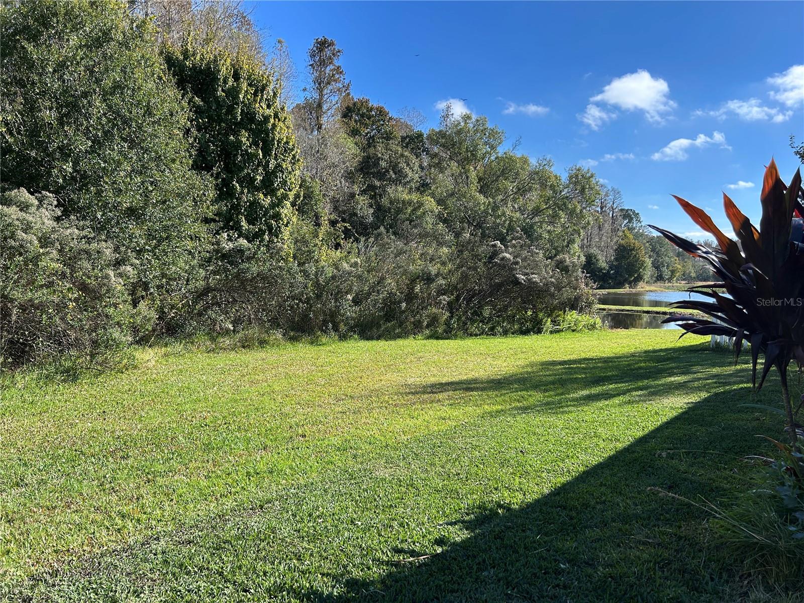 TRINITY PRESERVE PH 2A & 2B - Residential