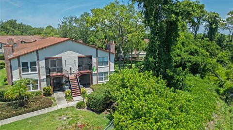 3455 COUNTRYSIDE BOULEVARD 11 CLEARWATER FL 33761