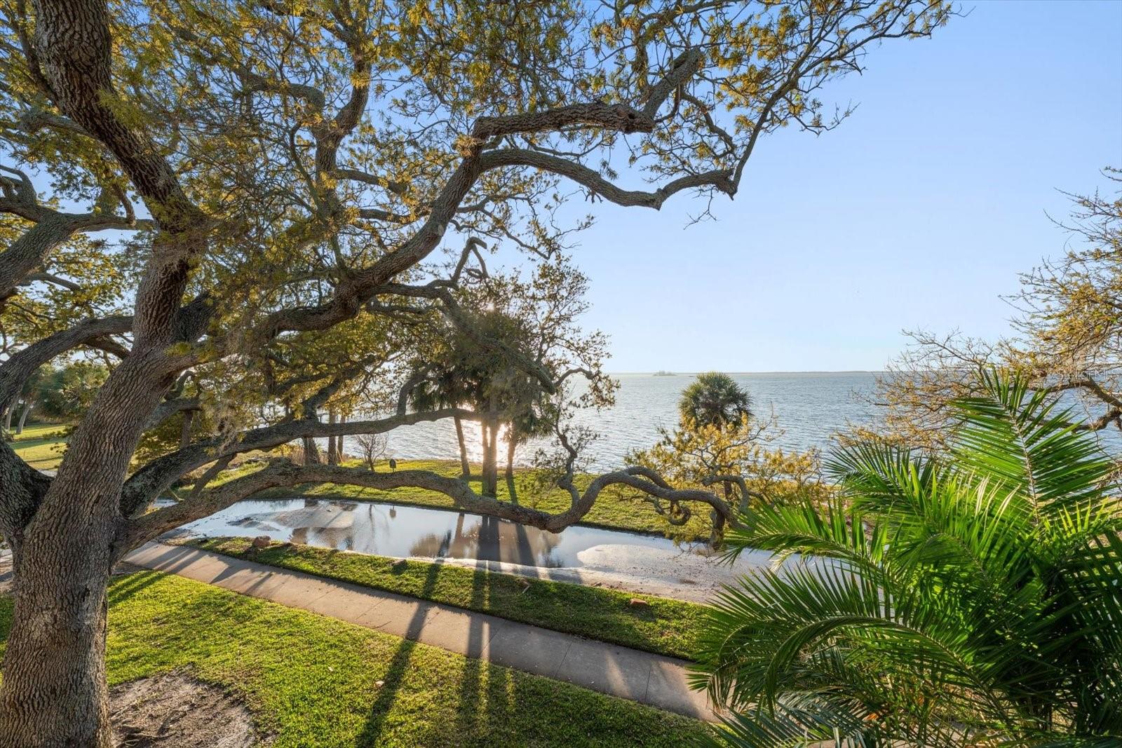 VICTORIA THE CONDO - Residential