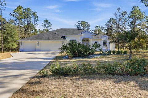 Photo of 4651 N Mapleview Way, Beverly Hills, FL 34465 (MLS # W7882560)