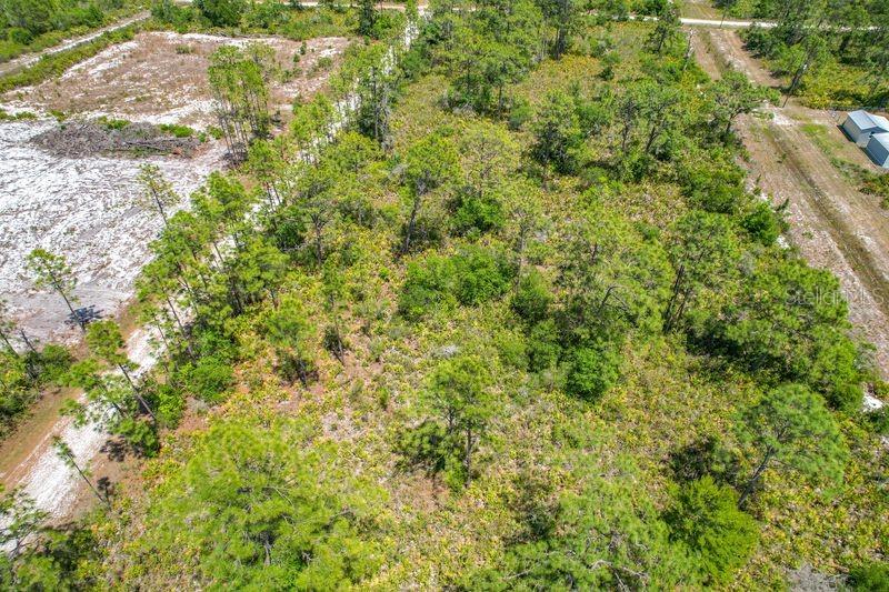 INDIAN LAKE ESTATES - Land