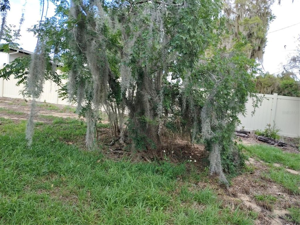 Photo of 0 E Myrtle Street, Howey In The Hills, FL 34737 (MLS # G5110632)