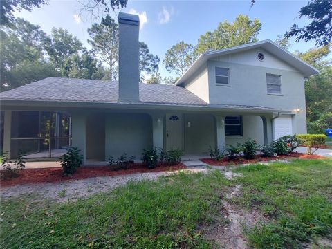 Photo of 253 N Blue Lake Avenue, Deland, FL 32724 (MLS # R4910364)
