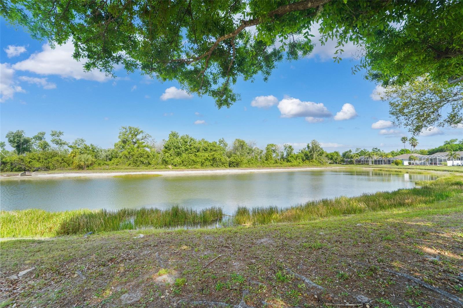 REGENCY OAKS PH I - Residential