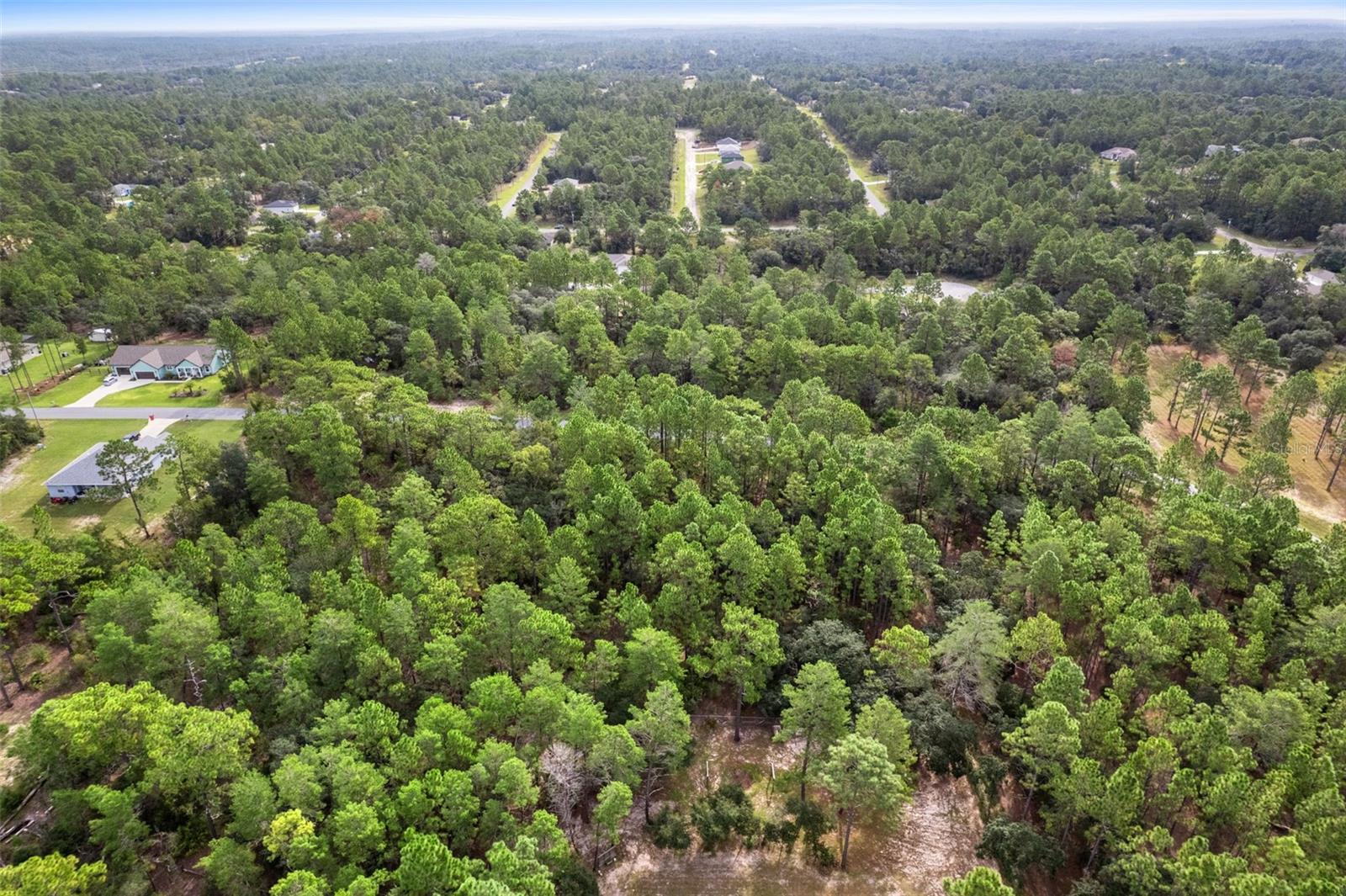 CITRUS SPGS UNIT 22 - Land