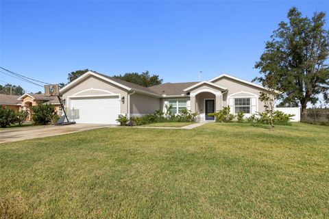 A home in PALM COAST