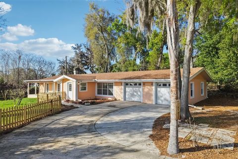 131 E PALMETTO AVENUE HOWEY IN THE HILLS FL 34737