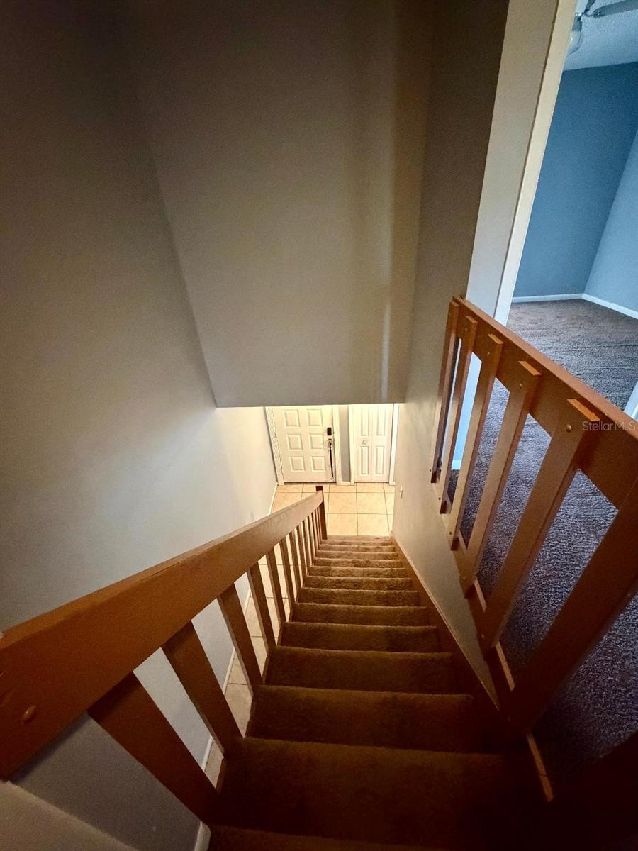 CHELSEA MDWS - Residential Lease