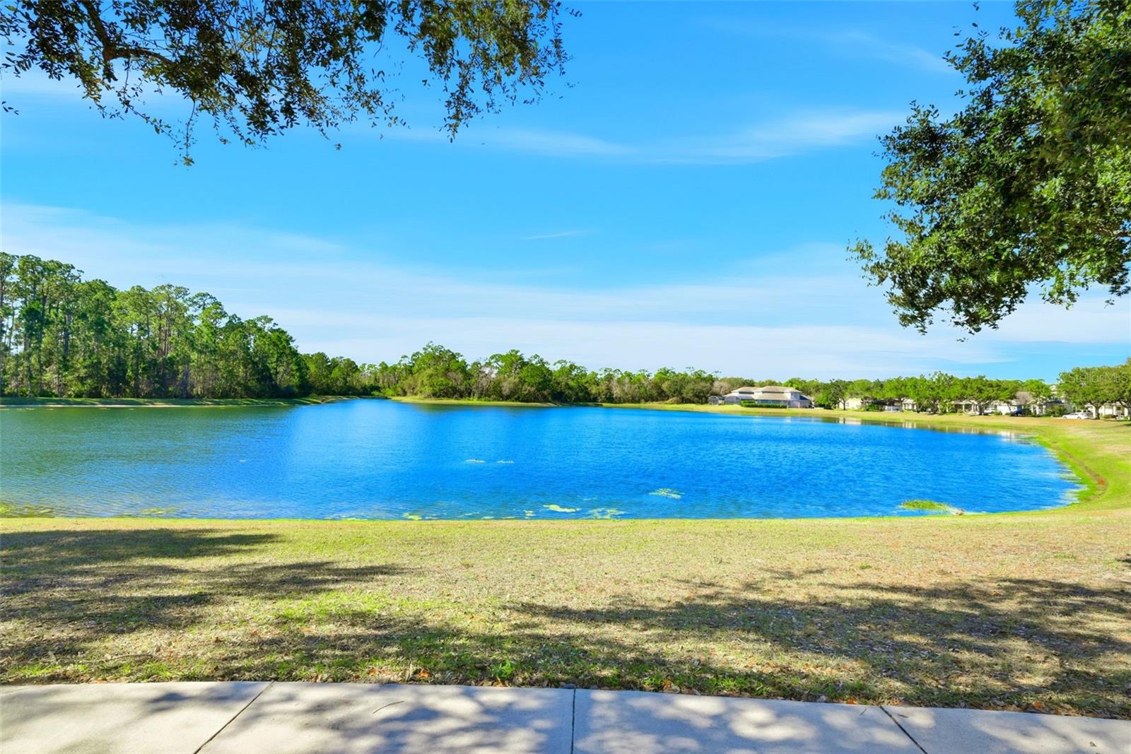 13912 DARCHANCE ROAD