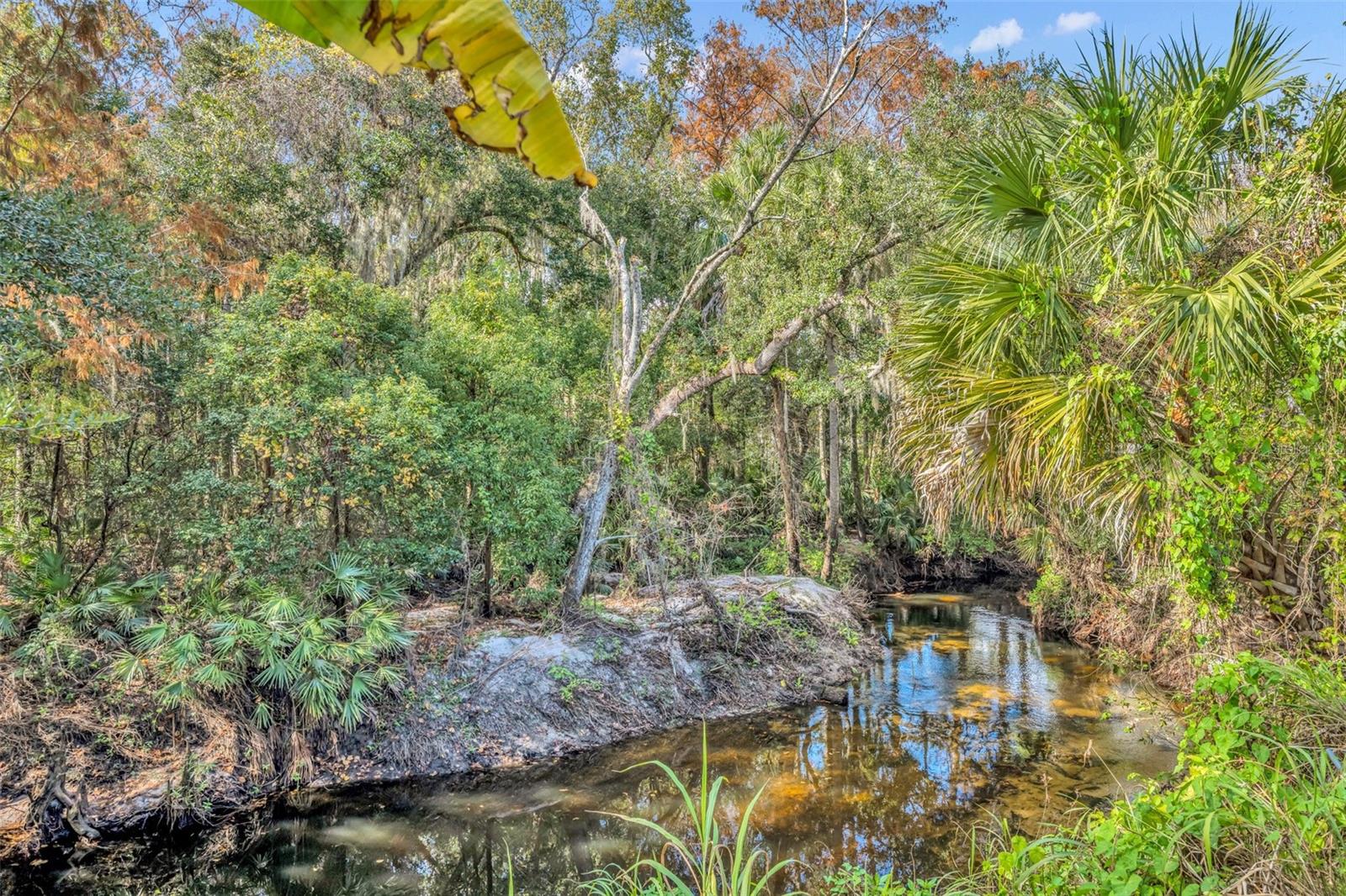 1445 CREEKSIDE CIRCLE
