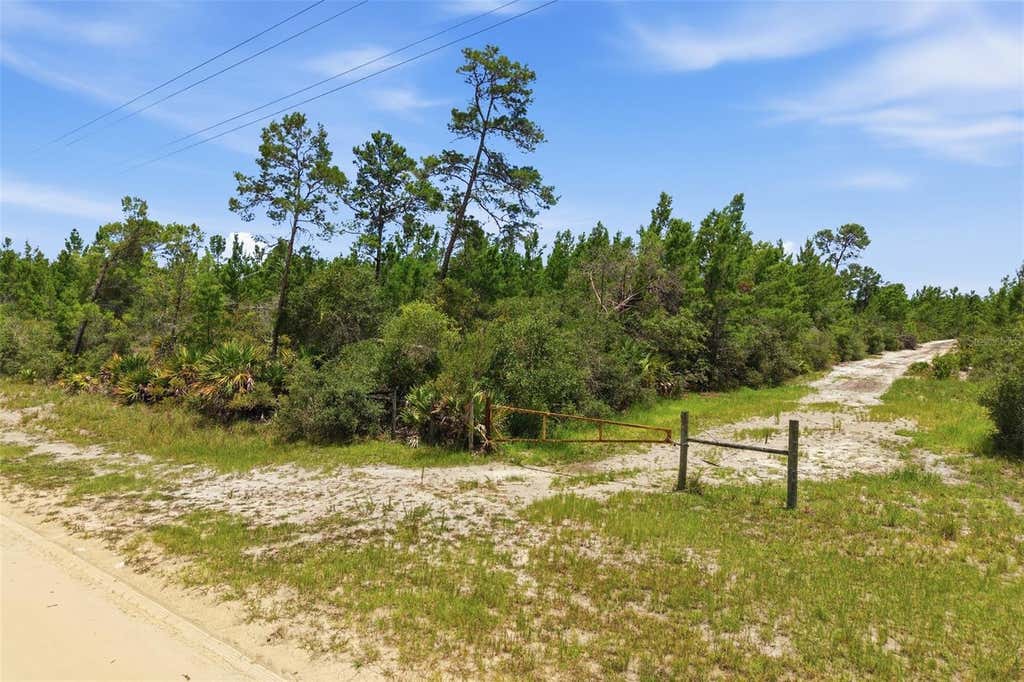 Photo of 70 Maggie Jones Rd, Eustis, FL 32736 (MLS # O6424916)