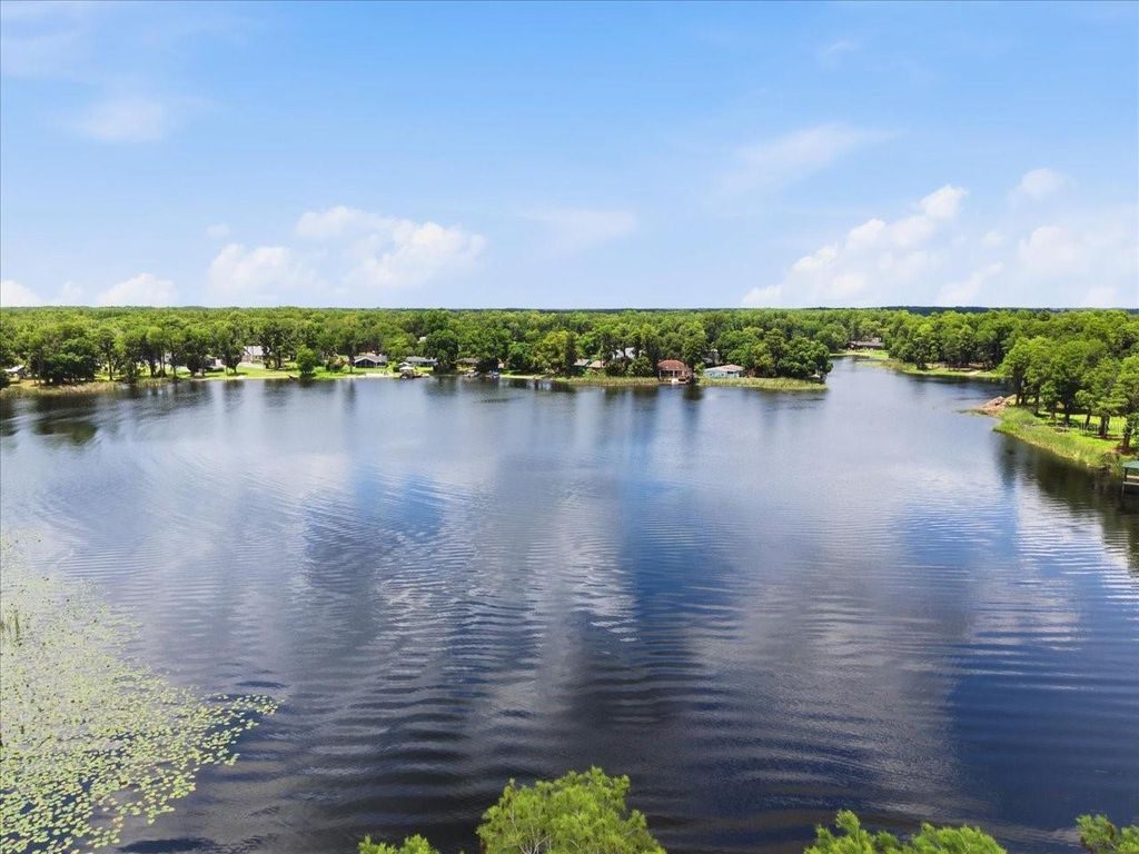 Photo of 15612 Howell Park Lane, Tampa, FL 33625 (MLS # TB8511294)