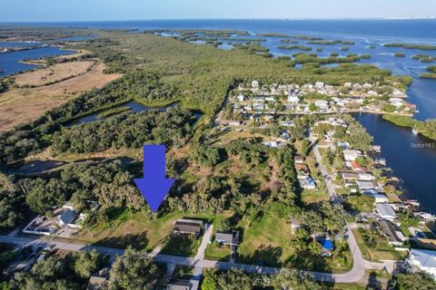 1115 CANAL STREET STREET RUSKIN FL 33570