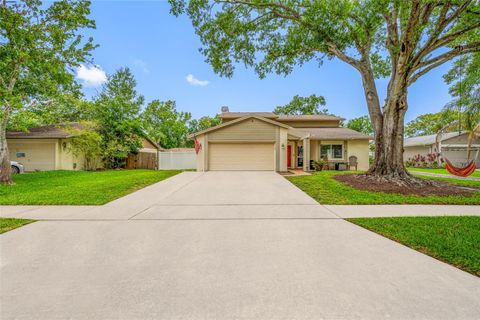 Photo of 15816 Hound Horn Lane, Tampa, FL 33624 (MLS # TB8516623)