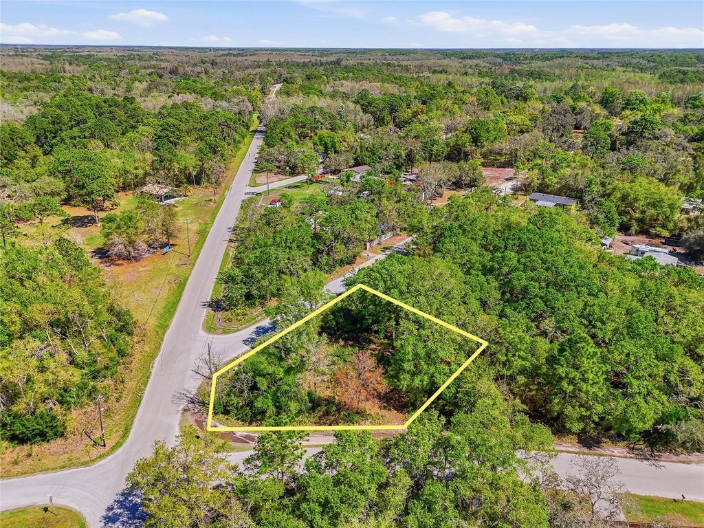 Photo of 100 Fern Street, New Port Richey, FL 34654 (MLS # W7883982)