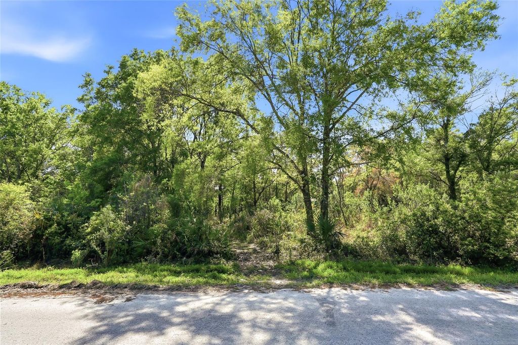 Photo of 100 Fern Street, New Port Richey, FL 34654 (MLS # W7883982)