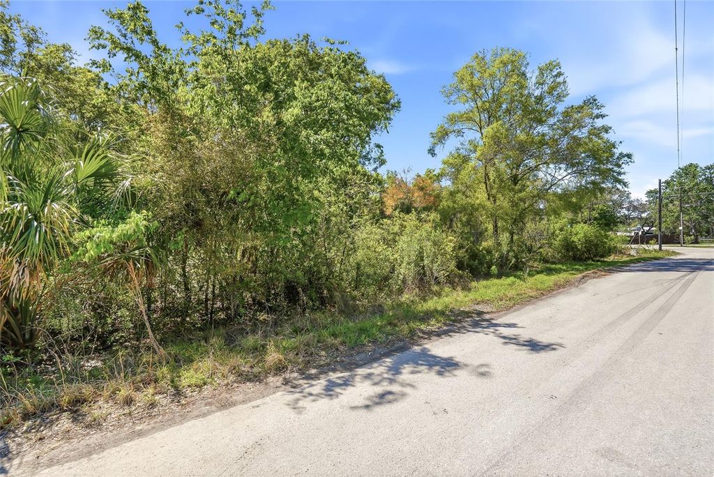 Photo of 100 Fern Street, New Port Richey, FL 34654 (MLS # W7883982)