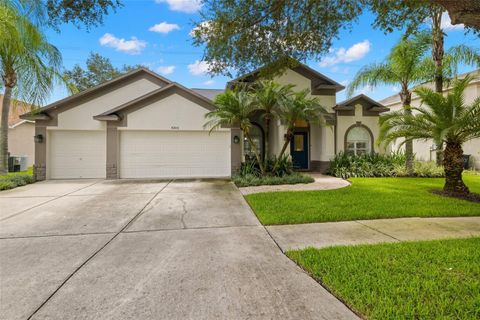 A home in VALRICO