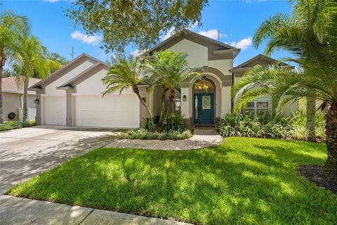 A home in VALRICO