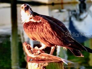 STRONGS POINT - Residential