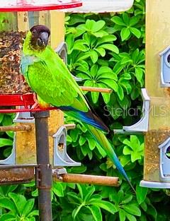 STRONGS POINT - Residential