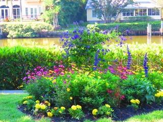 STRONGS POINT - Residential