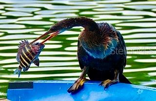 STRONGS POINT - Residential