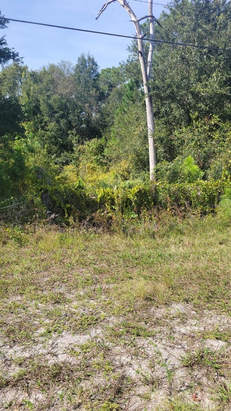 Looking for a piece of land in central Florida away from the city but close to everything come to check out this lot, or if you want to enlarge your property here is this one waiting for you, or if you are looking to purchase for future possibilities do not miss this piece of land. Completely wooded will allow you to create your own paradise with the typical vegetation of Florida.