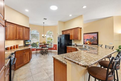 Tiny photo for 1797 Pamplico Court, The Villages, FL 32162 (MLS # G5101413)