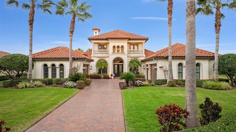 1207 MERRY WATER DRIVE LUTZ FL 33548