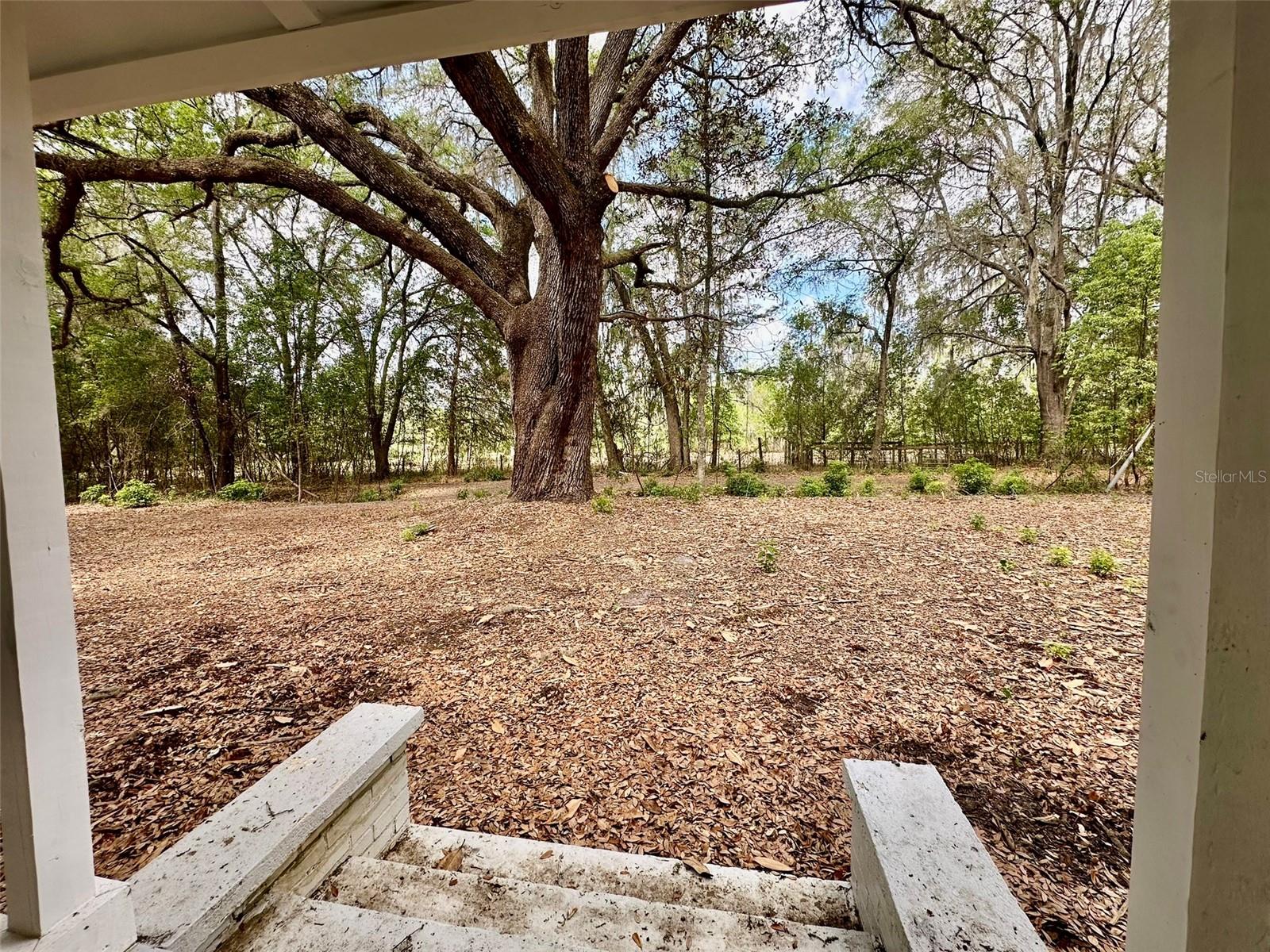 N/A - Residential Lease