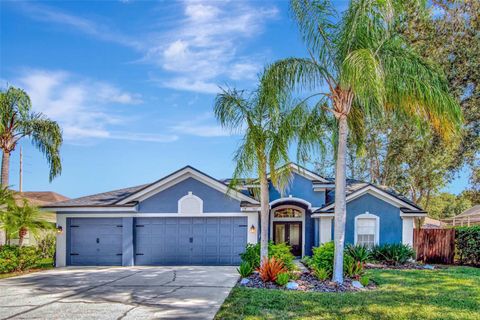467 EQUINE DRIVE TARPON SPRINGS FL 34688