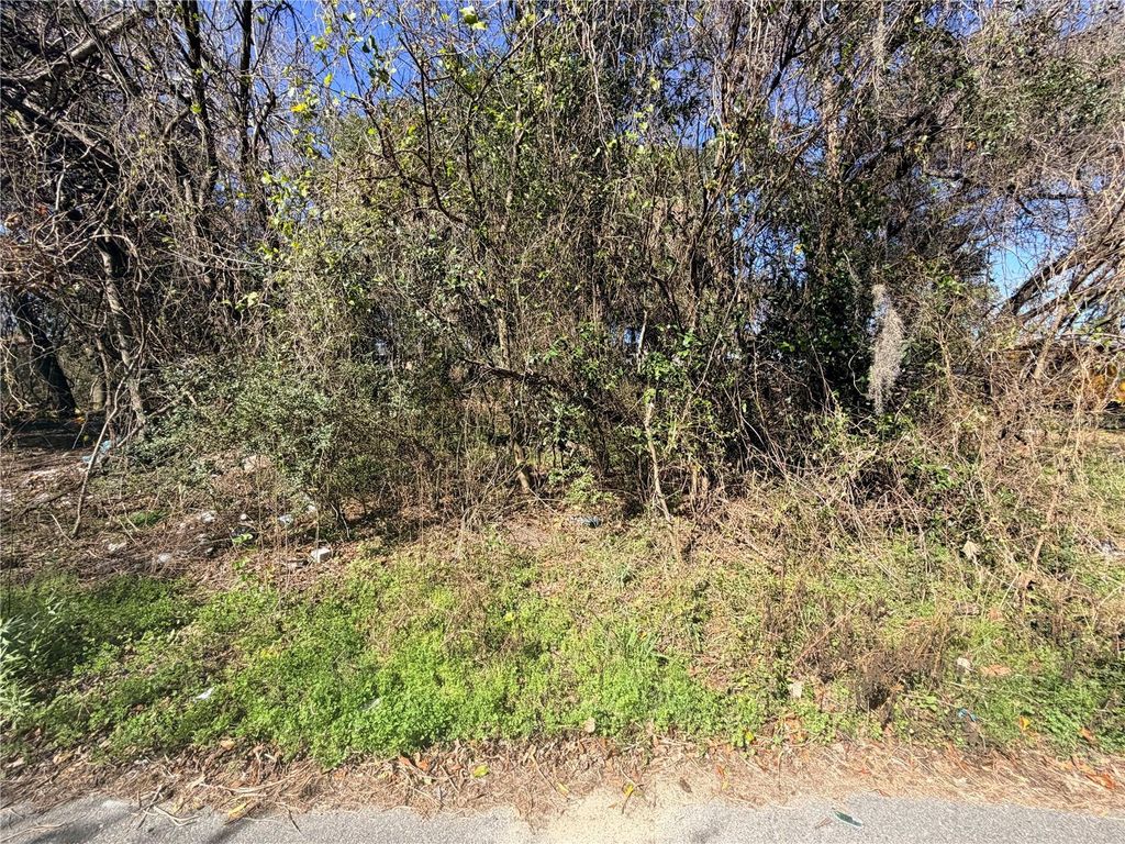 Photo of Tbd NW 151st Avenue, Alachua, FL 32615 (MLS # GC537831)