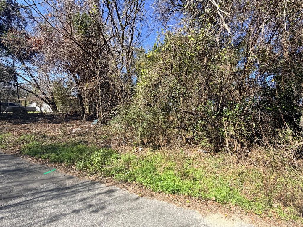 Photo of Tbd NW 151st Avenue, Alachua, FL 32615 (MLS # GC537831)