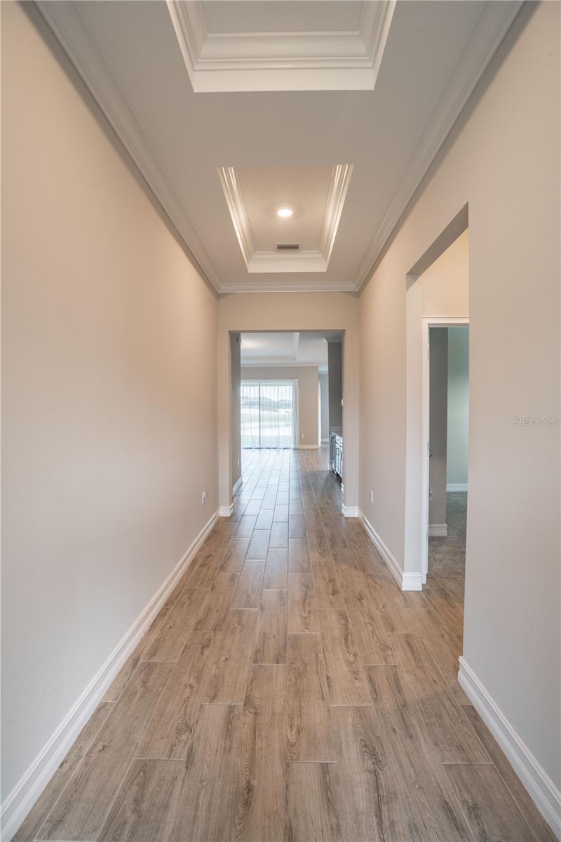 21396 SNOWY ORCHID TERRACE