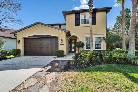 8005 CYPRESS CROSSING COURT TAMPA FL 33647