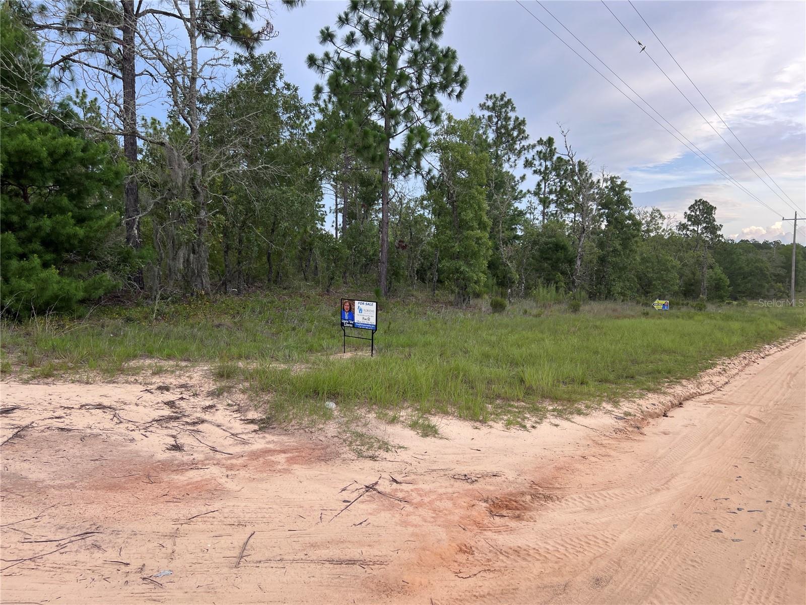 OWNER FINANCING AVAILABLE! CORNER LOT! OWN A SLICE OF HAWTHORNE! THIS VACANT LAND HAS ELECTRIC POSTS RIGHT IN FRONT OF THE LOT!