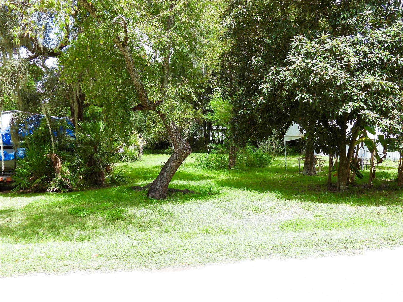 Tuck into nature in Halfmoon Campsites! This vacant lot backs to a canal and is located just minutes from Silver Springs, Halfmoon Lake, and the Ocala National Forest. Enjoy a peaceful setting with convenient access to Ocala for shopping, dining, and healthcare. Suitable as a weekend retreat or potential future homesite.