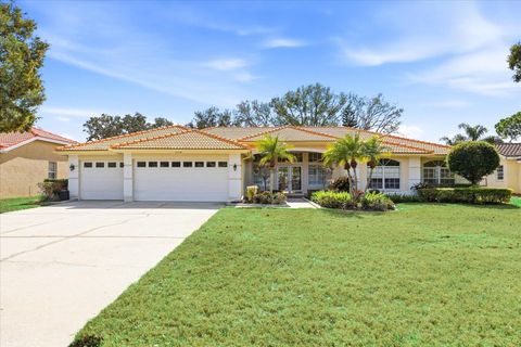 Photo of 3196 Crescent Oaks Boulevard, Tarpon Springs, FL 34688 (MLS # TB8477613)