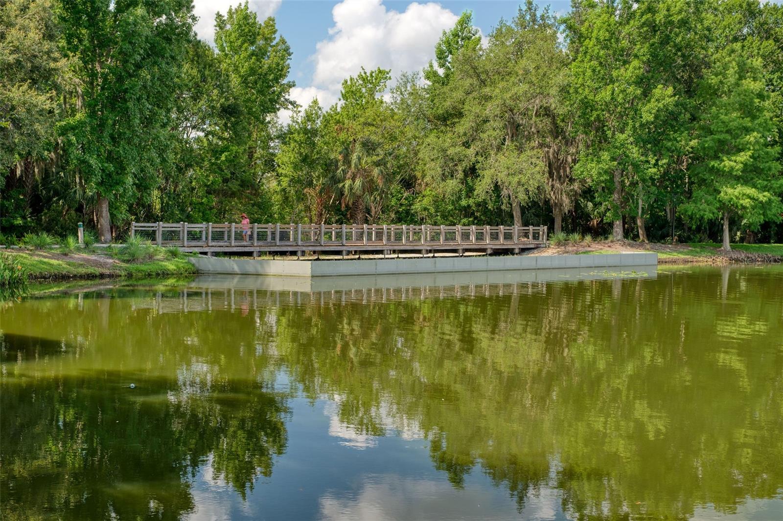 CELEBRATION EAST VILLAGE UNIT 2 - Residential