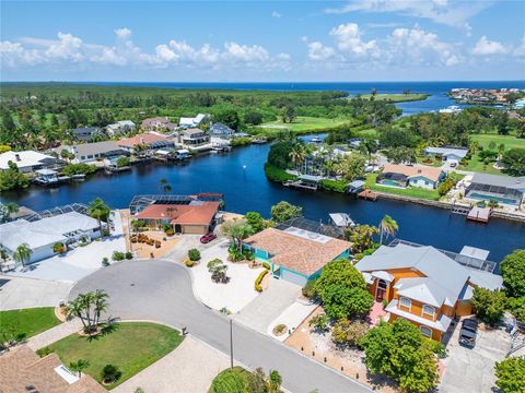 A home in APOLLO BEACH