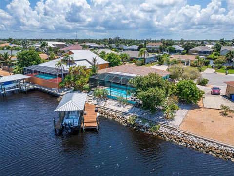 A home in APOLLO BEACH