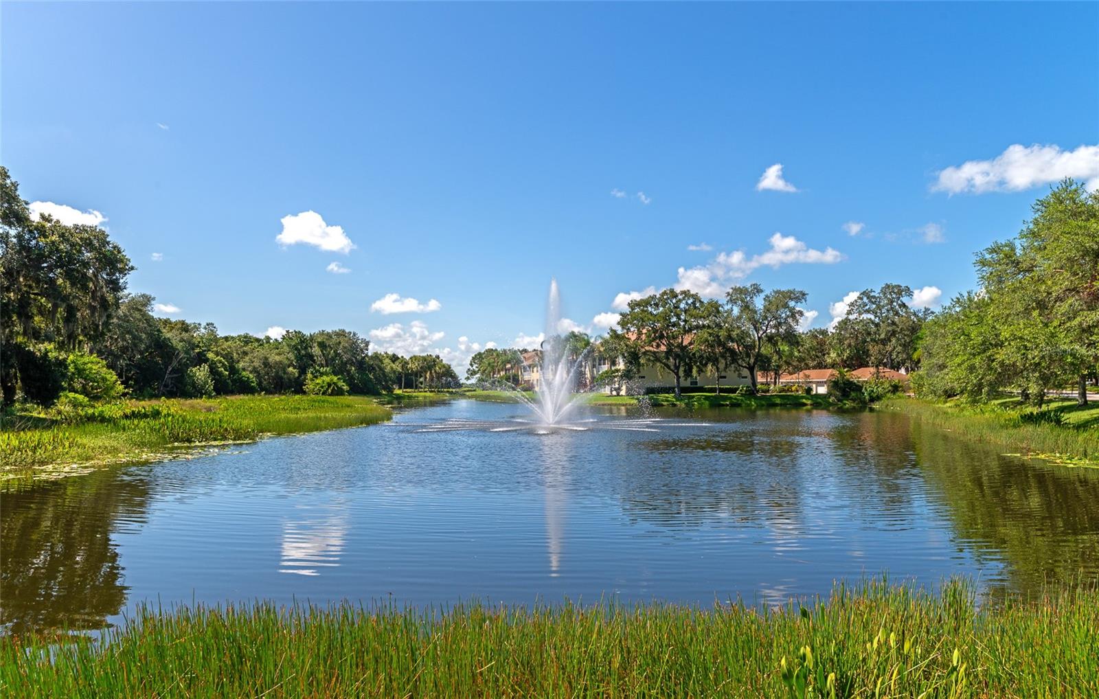 HARBORAGE ON BRADEN RIVER PH I - Residential