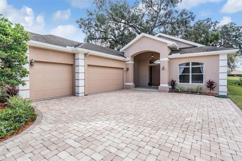 A home in DADE CITY